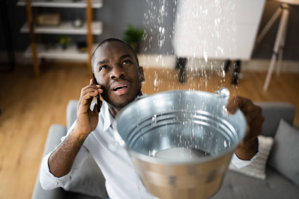 Best Flooded house restoration  in Plains, TX