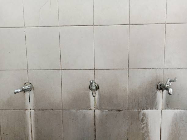 Best Carpet water damage restoration  in Plains, TX