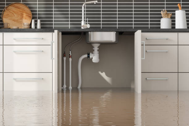 Best Water damage contractors near me  in Plains, TX