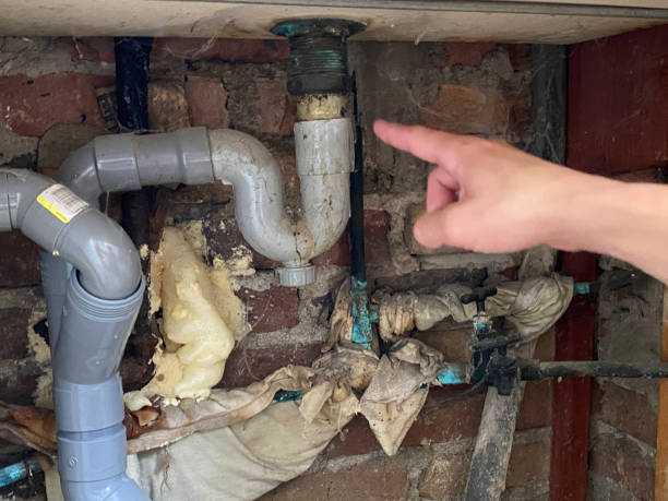 Best Local water damage restoration  in Plains, TX