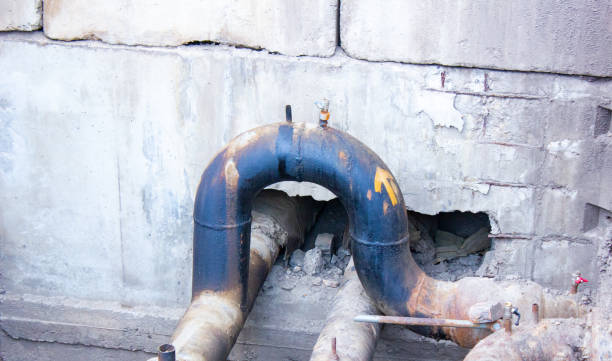 Best Water damage restoration near me  in Plains, TX