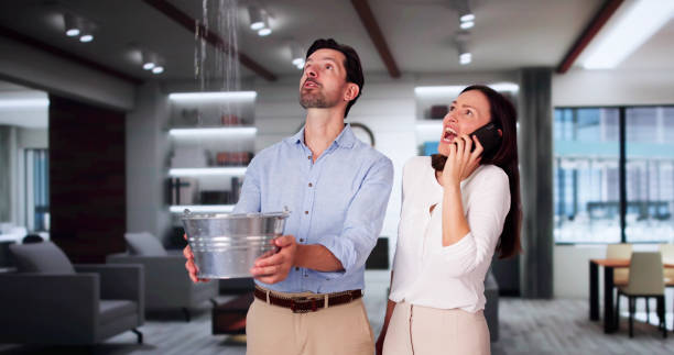 Best Residential water damage restoration  in Plains, TX